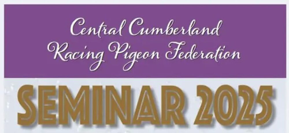 Central Cumberland Seminar